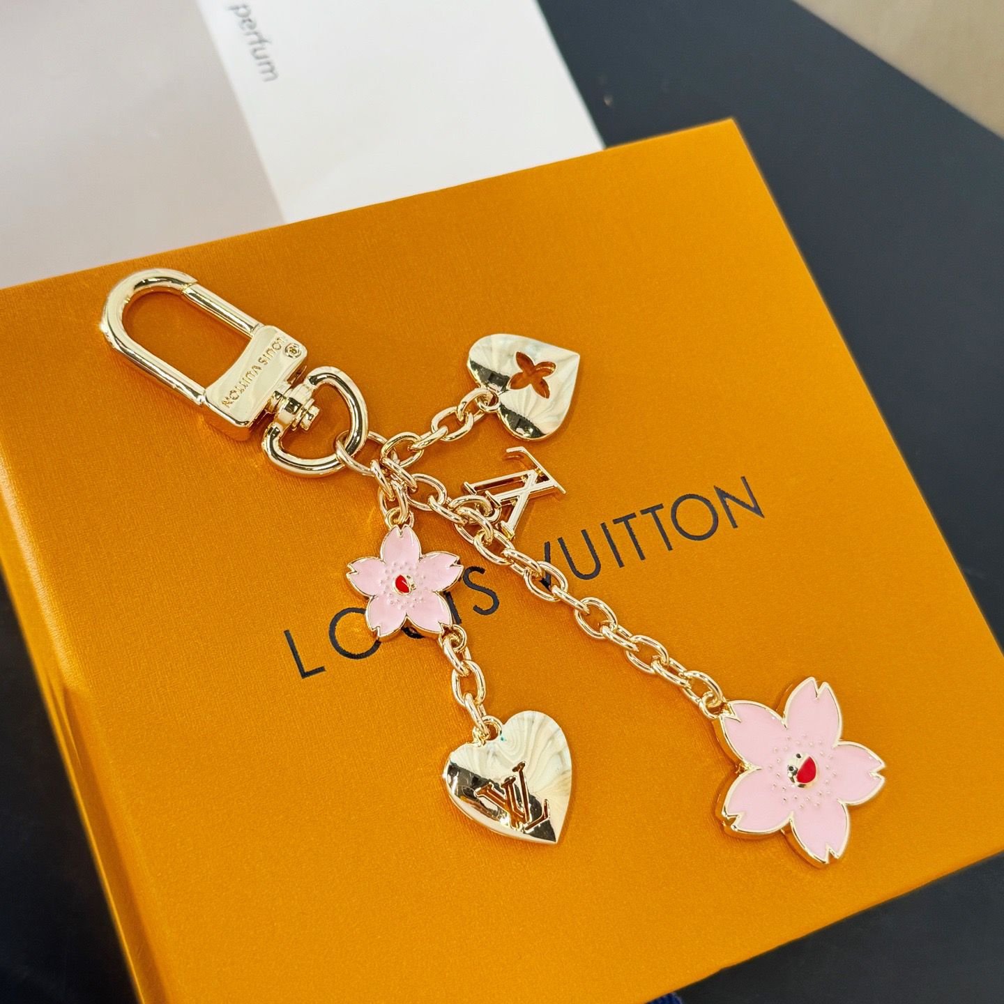 Louis Vuitton bag chain LV New collection - Image 11 of 17